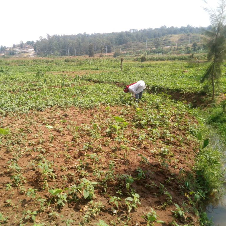 Seasonal drought leads to damage and affects communities