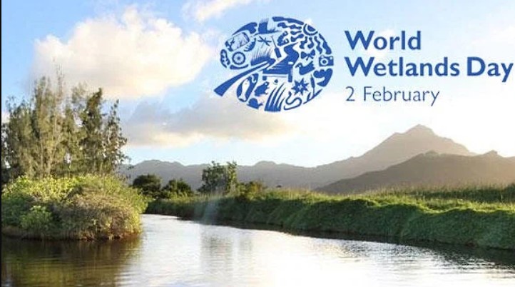 THE RCCDN MESSAGE ON WORLD WETLANDS DAY